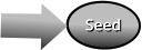 Seed Seed
